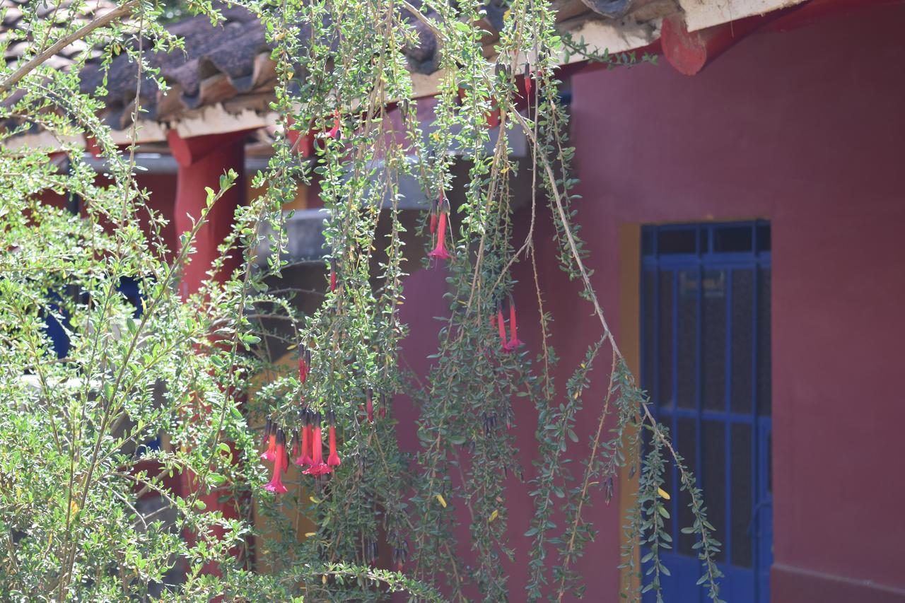 بيت شباب La Casita De Mi Abuela Mancos المظهر الخارجي الصورة